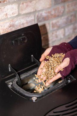 Fırını dolduran kadın