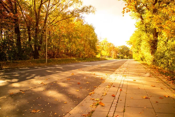 Autobahn Ohne Autos Und Herbstliche Landschaft Hintergrundbild Für Text Über — Stockfoto