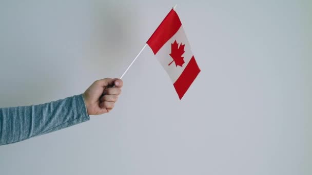 Close Van Mannelijke Hand Zwaaiend Met Vlag Van Canada — Stockvideo