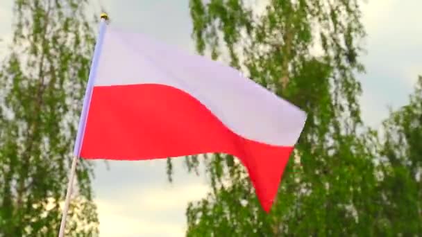 Die Flagge Polens Flattert Der Hand Eines Mannes Wind Vor — Stockvideo