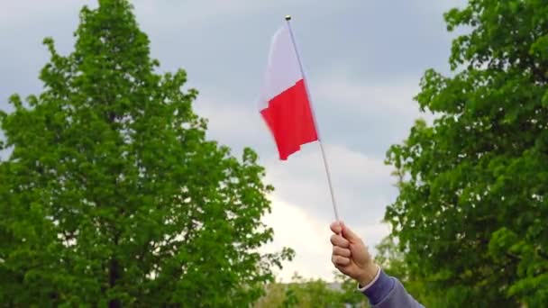 Flaga Polski Trzepocze Wietrze Ręku Człowieka Tle Nieba Zielonych Drzew — Wideo stockowe