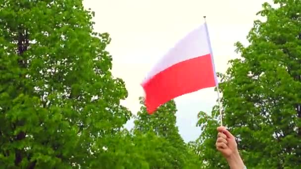 Bandera Polonia Ondea Viento Mano Hombre Sobre Fondo Del Cielo — Vídeos de Stock