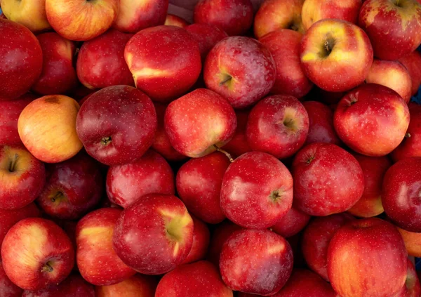 Ωρίμασε Κόκκινα Μήλα Κάτοψη Πολλών Μήλων Royalty Free Φωτογραφίες Αρχείου