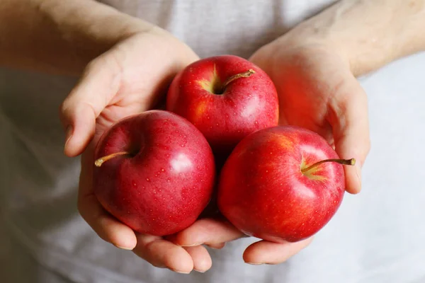 Tres Manzanas Rojas Fruta Las Manos Primer Plano — Foto de Stock