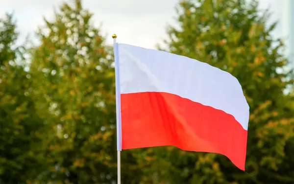 Viftande Flagga Polen Mot Bakgrund Naturen Och Blå Himmel Stockfoto