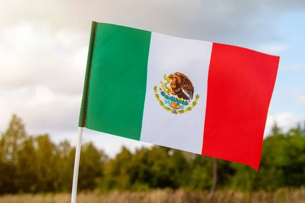 Viftande Flagga Mexiko Mot Bakgrund Naturen Och Blå Himmel Royaltyfria Stockfoton