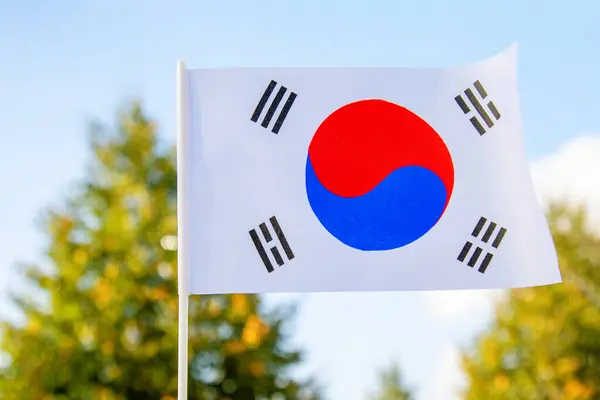 Κυματιστή Σημαία Της Νότιας Κορέας Στο Φόντο Της Φύσης Και Royalty Free Φωτογραφίες Αρχείου
