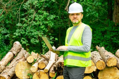 Ormanda kereste kesme ağacının önünde dizüstü bilgisayarlı koruyucu şapkalı bir Forester. Erkek orman mühendisi, kesilen kerestelerin müfettişi, ormanda ağaç kesme işinde çalışıyor..