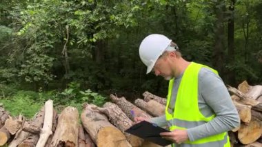 Orman mühendisi, kesilen kerestelerin müfettişi, ormanda ağaç kesme işinde çalışıyor. Kuru ağaç kütüklerini inceleyen panoya sahip bir ormancı..