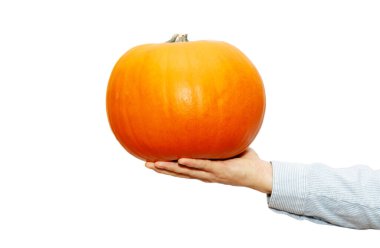 Olgun turuncu balkabağı erkeklerin elinde, yakın plan. Sebze diyeti, yemek hazırlama. Beyaz arkaplanda izole.