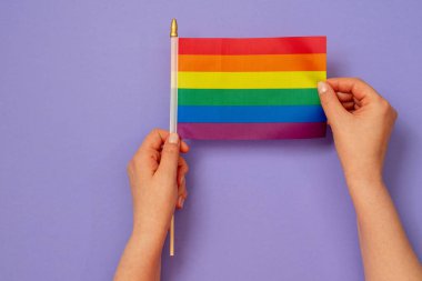 Mor arkaplanda el ele tutulan LGBT bayrağını kapat.