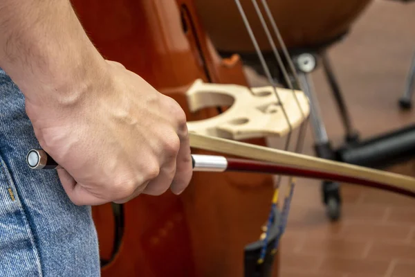 Riktiga Unga Musikstudenter Repetitionerna Musikinstrument Och Musikställ Med Stav Violin Stockbild