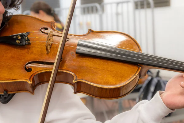 真实生活中的年轻音乐学生在排练期间 乐器和音乐与节拍并立 小提琴 中提琴 免版税图库图片