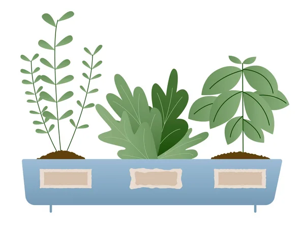 Plantes Dans Sol Avec Des Racines Jardinage Plantation Légumes Ferme — Image vectorielle