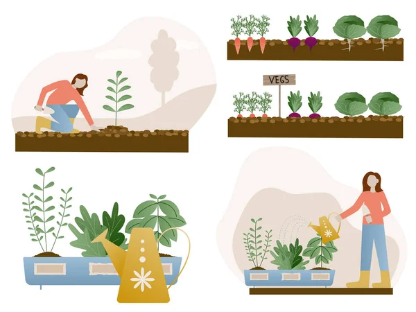 Femme Plantation Jardins Fleurs Agriculture Jardinier Passe Temps Travail Jardin — Image vectorielle