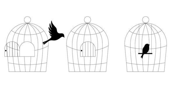Doodle line art illustration of bird cages set hand drawn sketch collection of metal cages for birds different shapes and sizes vector pet house decor. Vector illustration