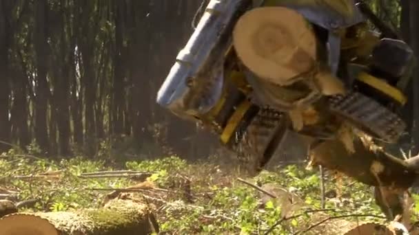 用现代机械砍伐森林 为冬天准备柴火 用原声录像剪贴 — 图库视频影像