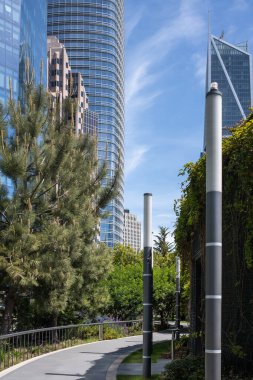 Güneşli bir günde San Francisco 'da bulunan Satış Gücü Parkı' ndaki yüksek gökdelenlere karşı büyüyen aynalı çitlerin ve bitkilerin yanında Paved geçidi.