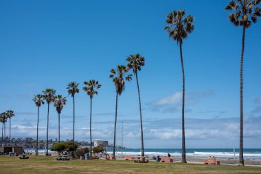 San Diego, California - 10 Mayıs 2023 San Diego, Kaliforniya yakınlarındaki plajda sabah ışığı 