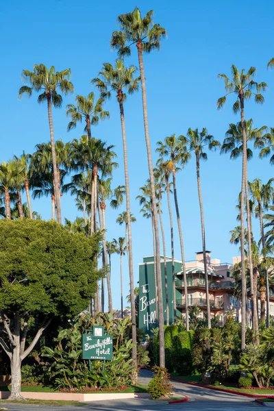 加利福尼亚州洛杉矶 2023年5月7日 加州洛杉矶贝弗利山庄酒店被棕榈树环绕 阳光明媚 — 图库照片