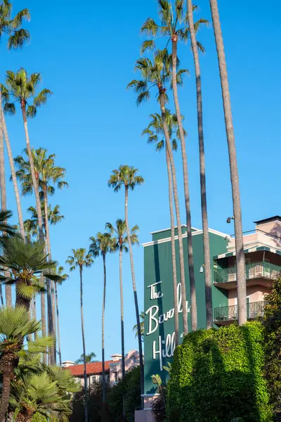カリフォルニア州ロサンゼルス 2023年5月7日 晴れた日 カリフォルニア州のヤシの木に囲まれたビバリーヒルズホテル — ストック写真