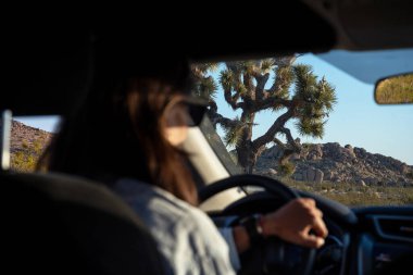 California, günbatımında Joshua Tree Ulusal Parkı 'nda arabasını süren dikkatsiz bir kadın silueti.