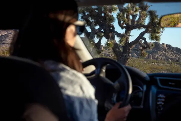 カリフォルニア州サンセットでジョシュア ツリー国立公園周辺で車を運転する未焦点の女性のシルエット ストック写真