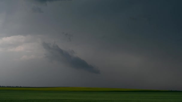 加拿大夏天的风暴 — 图库视频影像