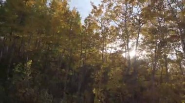 Alberta, Kanada 'da sonbahar