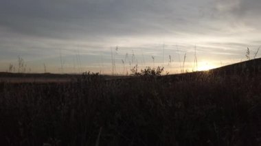 Yazın sonlarında, eteklerde