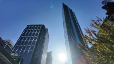 Vancouver Yazın sonunda