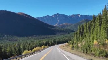 Sonbaharda altın bir tarla kuşu