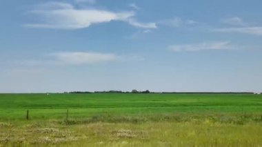 Buhar treni 2816 Kanada ovalarında seyahat ediyor.