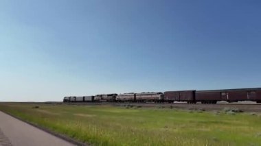 Buhar treni 2816 Kanada ovalarında seyahat ediyor.
