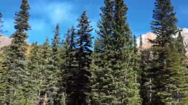 Kanada kayalık dağlarında düşmek