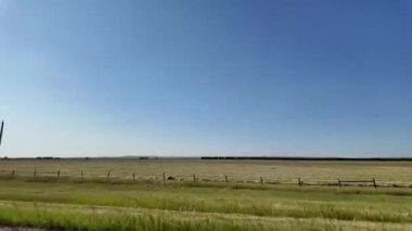 Buhar treni 2816 Kanada ovalarında seyahat ediyor.