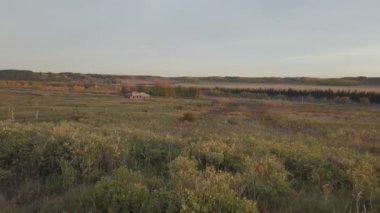 Eteklerinde ve Alberta dağlarda