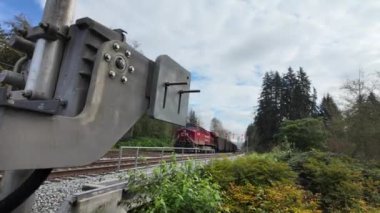 Buhar treni 2816 Kanada ovalarında seyahat ediyor.