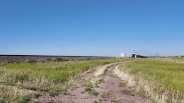 Buhar treni 2816 Kanada ovalarında seyahat ediyor.