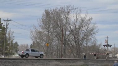 Buhar treni 2816 Kanada ovalarında seyahat ediyor.
