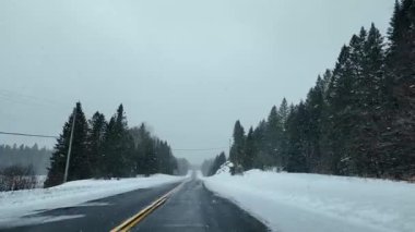 Kışın Algonquin İl Parkı