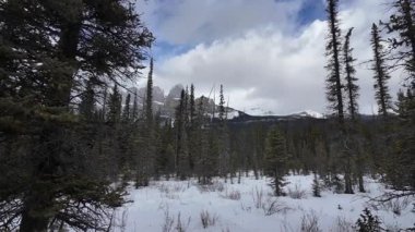 Kanada Rocky Dağları kışın sonlarında