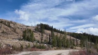 Kanada Kayalıkları 'nda ağaç kesimi