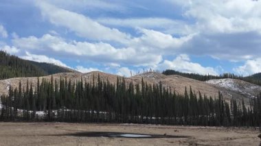 Kanada Kayalıkları 'nda ağaç kesimi