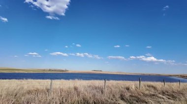 Hawk ilkbaharın başında