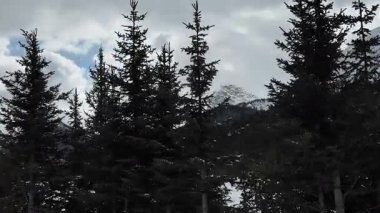 Kananaskis Alberta kışın sonunda