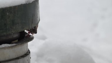 Kanada 'nın vahşi doğasında mermer