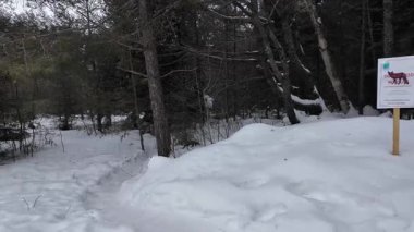 Kanada kışında mermer.