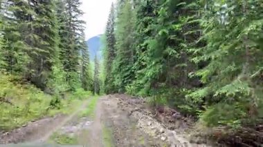 Britanya Kolumbiyası 'na giriş