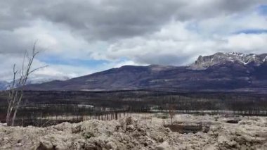Kanada 'da bir orman yangınında yıkım